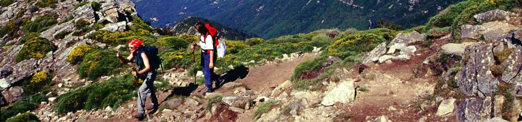 Nordic Walking