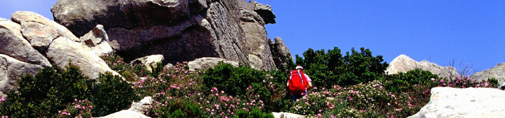 Trekking on Elba and the Tuscan Archipelago: Offers for CAI members