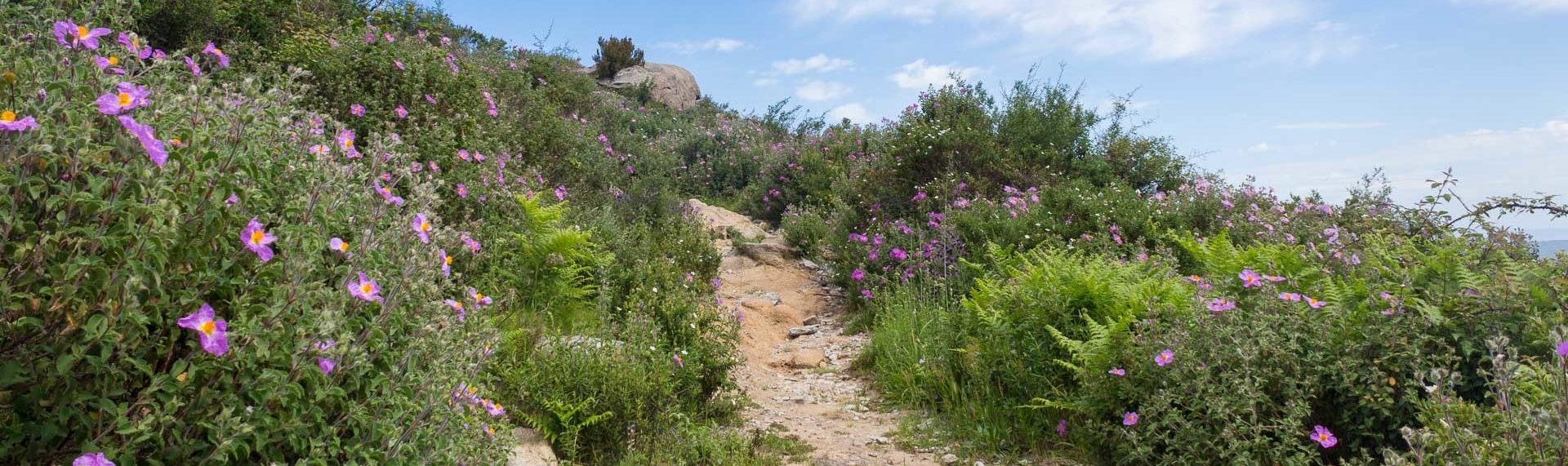 escursioni di trekking