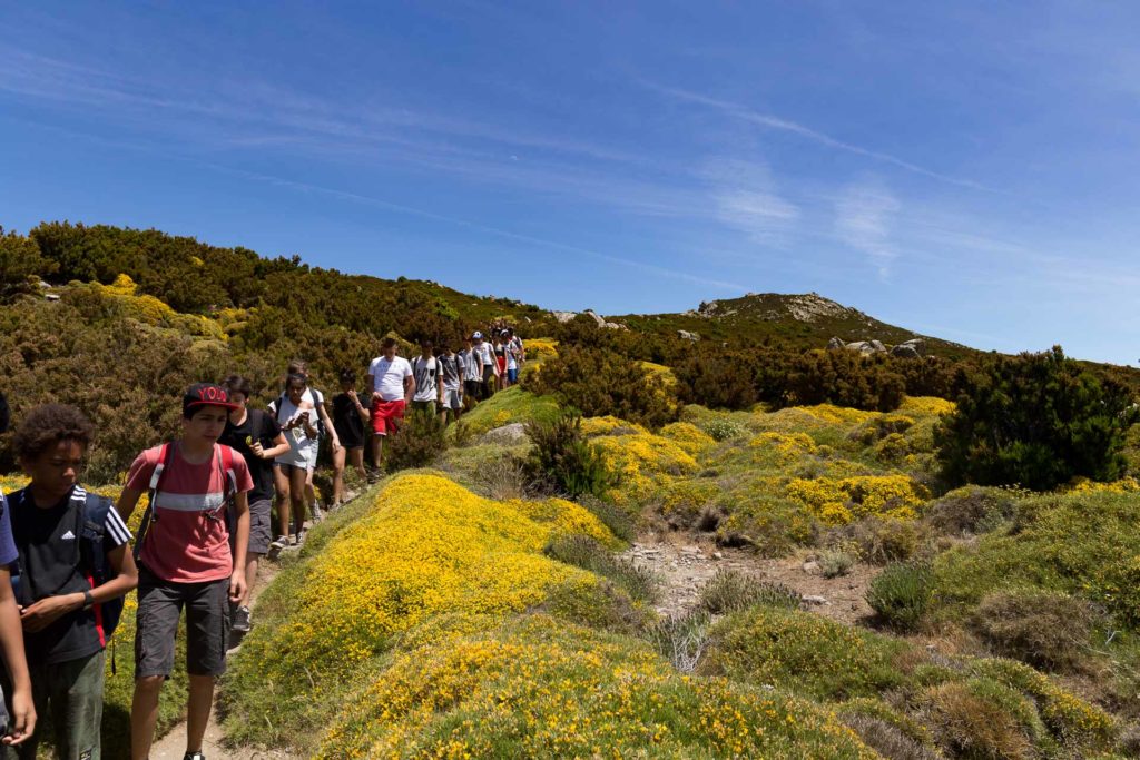 Great Crossing Elba by trekking (G.T.E. Elba)