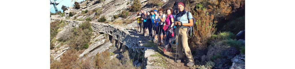 Nordic Walking