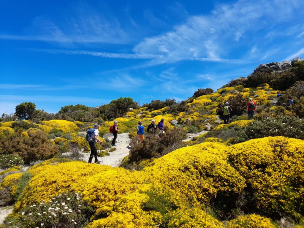 trekking all'isola d'Elba