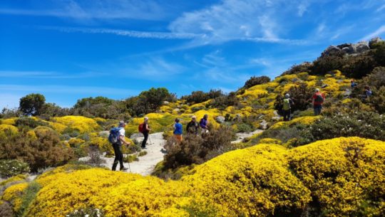 trekking all'isola d'Elba