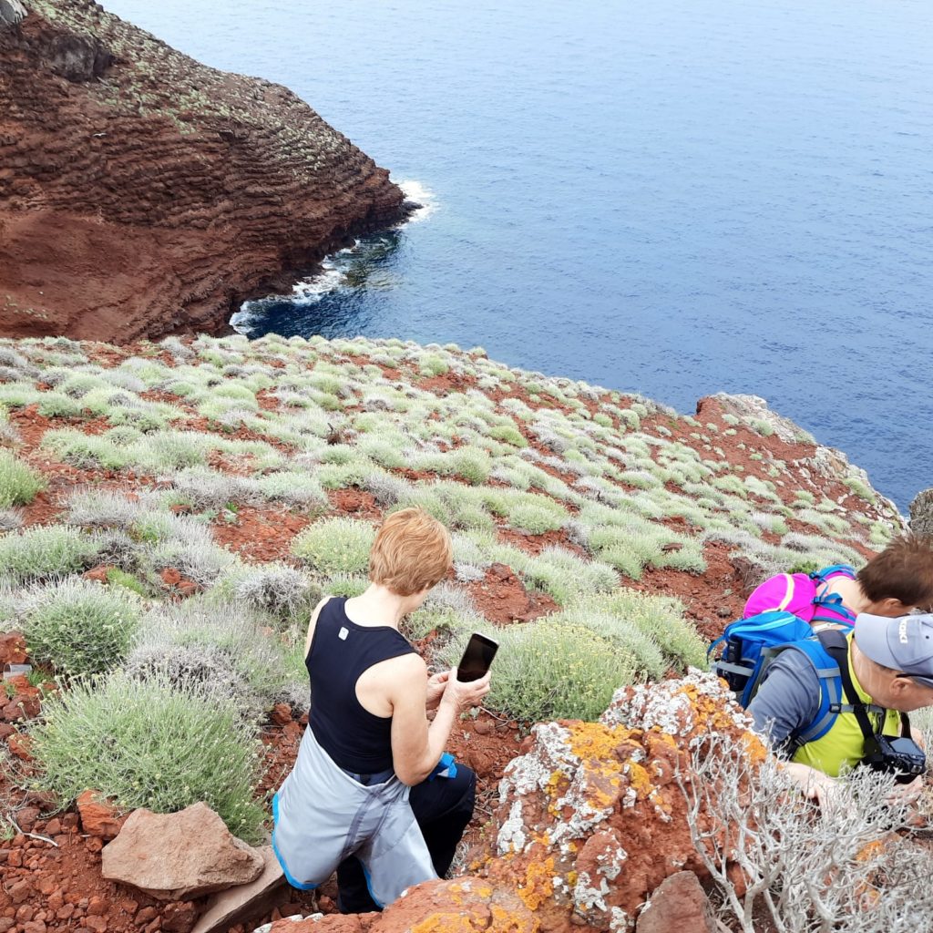 trekking a capraia