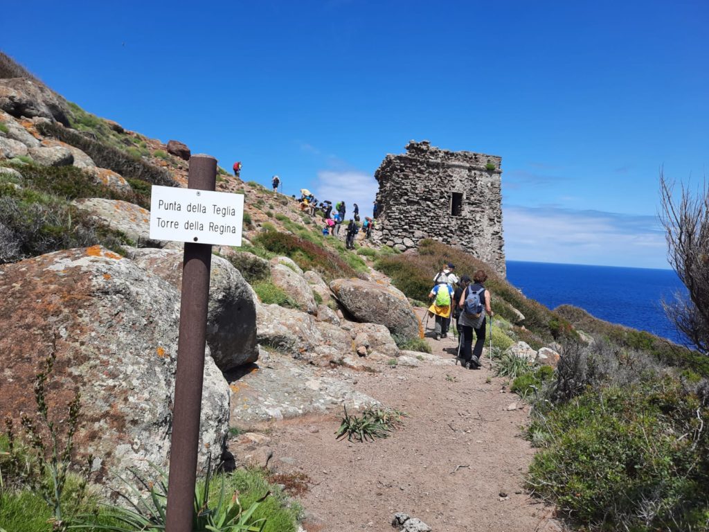 trekking a Capraia