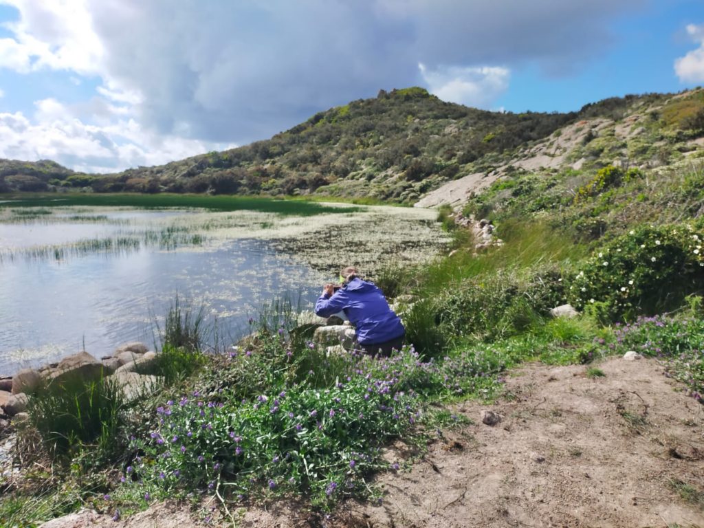 trekking a Capraia