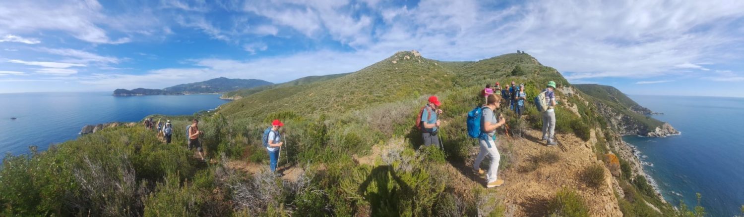 via dell'essenza - via dei rosmarini
